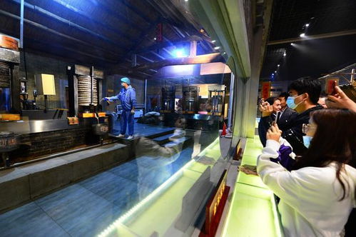 道不盡齊魯糧油好 走進(jìn)山歌，聽百年油坊唱響的時(shí)代新韻